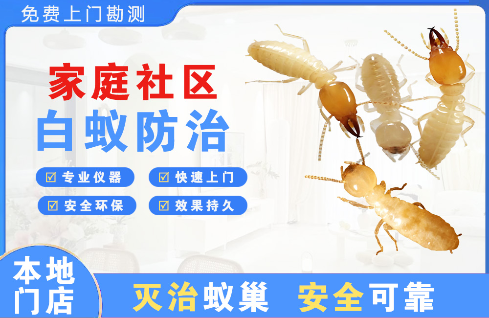 保山家庭社区白蚁防治