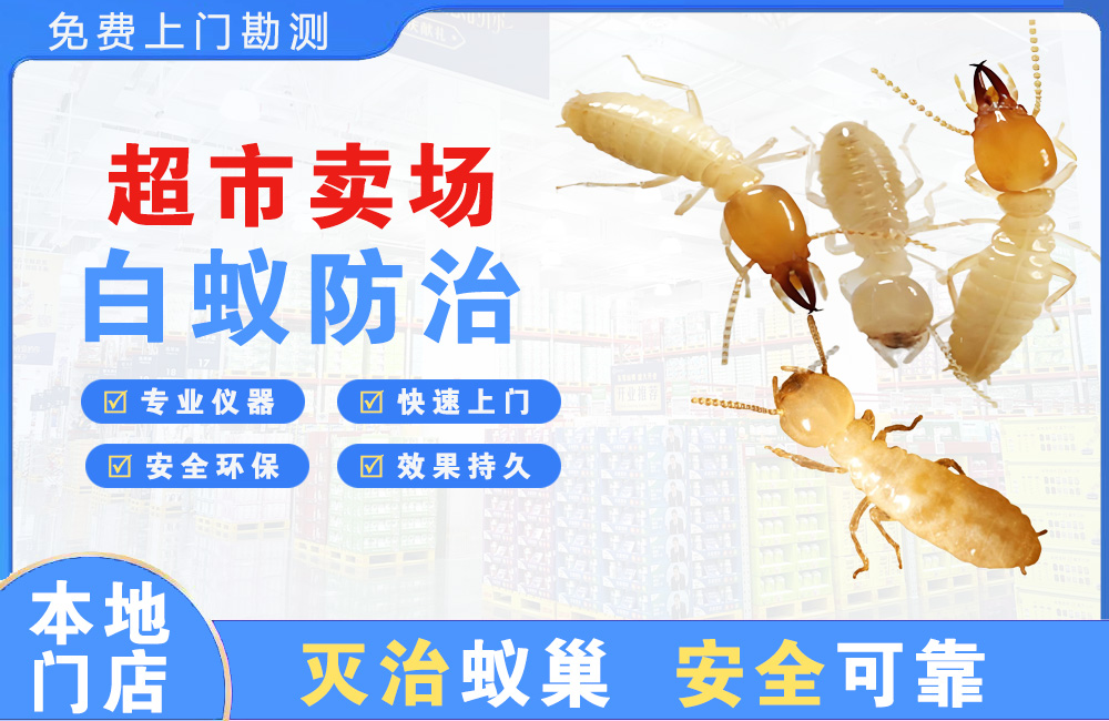 保山超市卖场白蚁防治