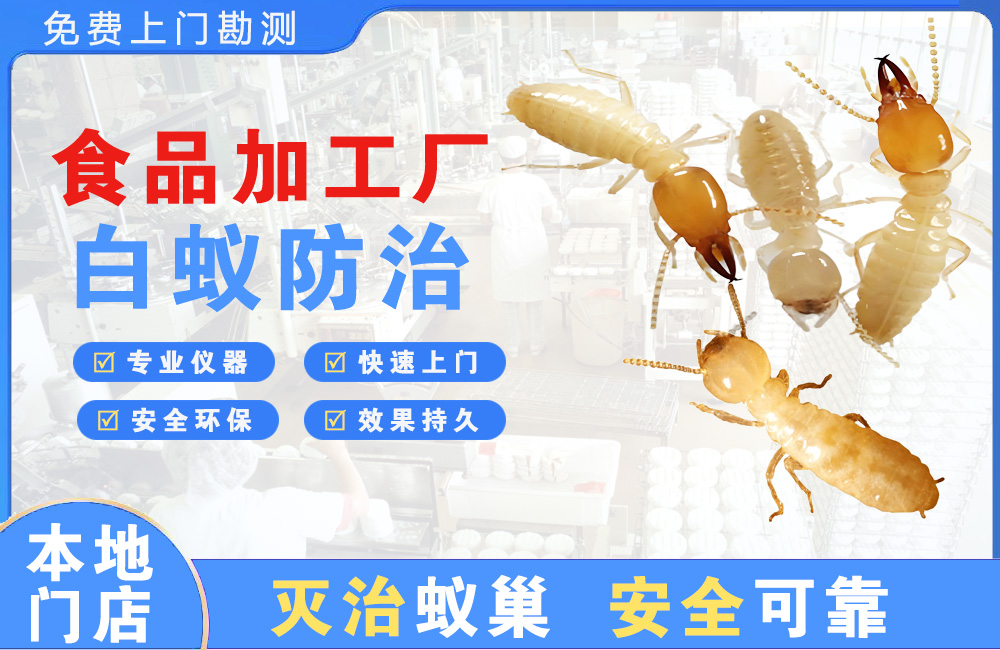 保山食品加工厂白蚁防治