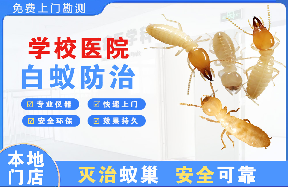 保山学校医院白蚁防治