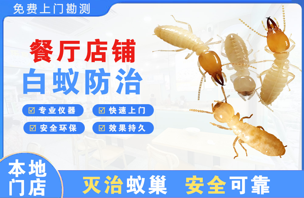 保山餐厅店铺白蚁防治